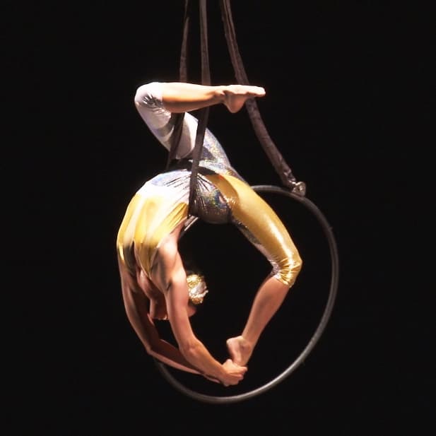 aerial-hoop-image