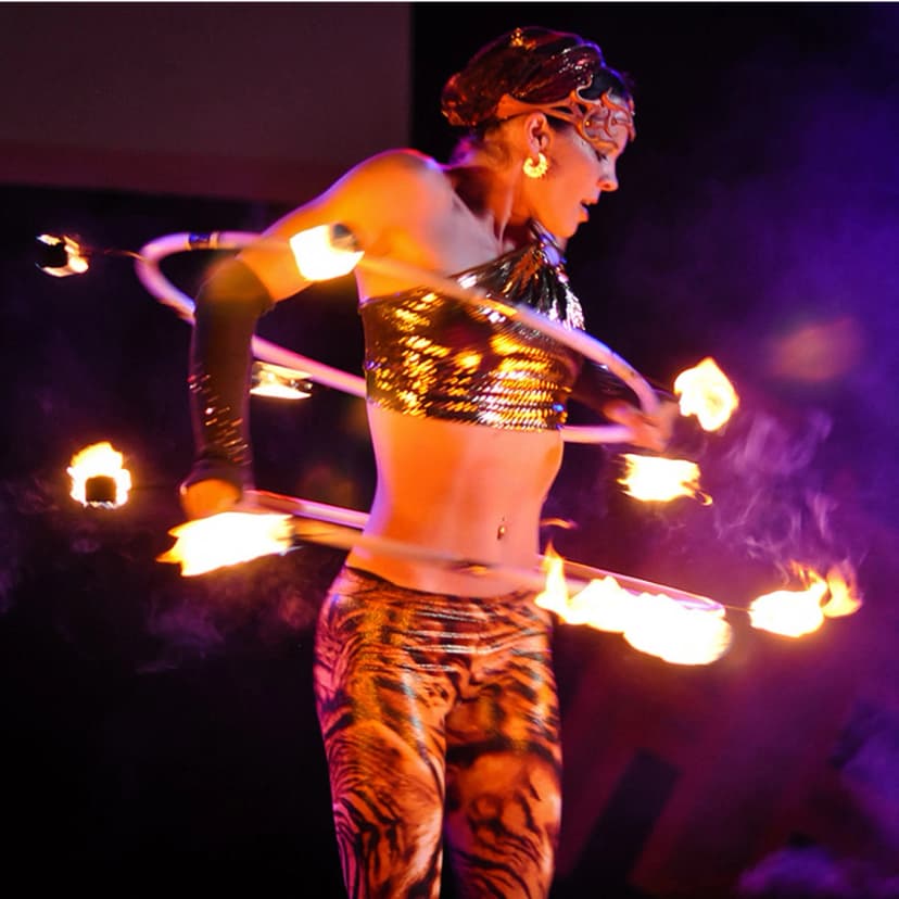 fire-performance-image